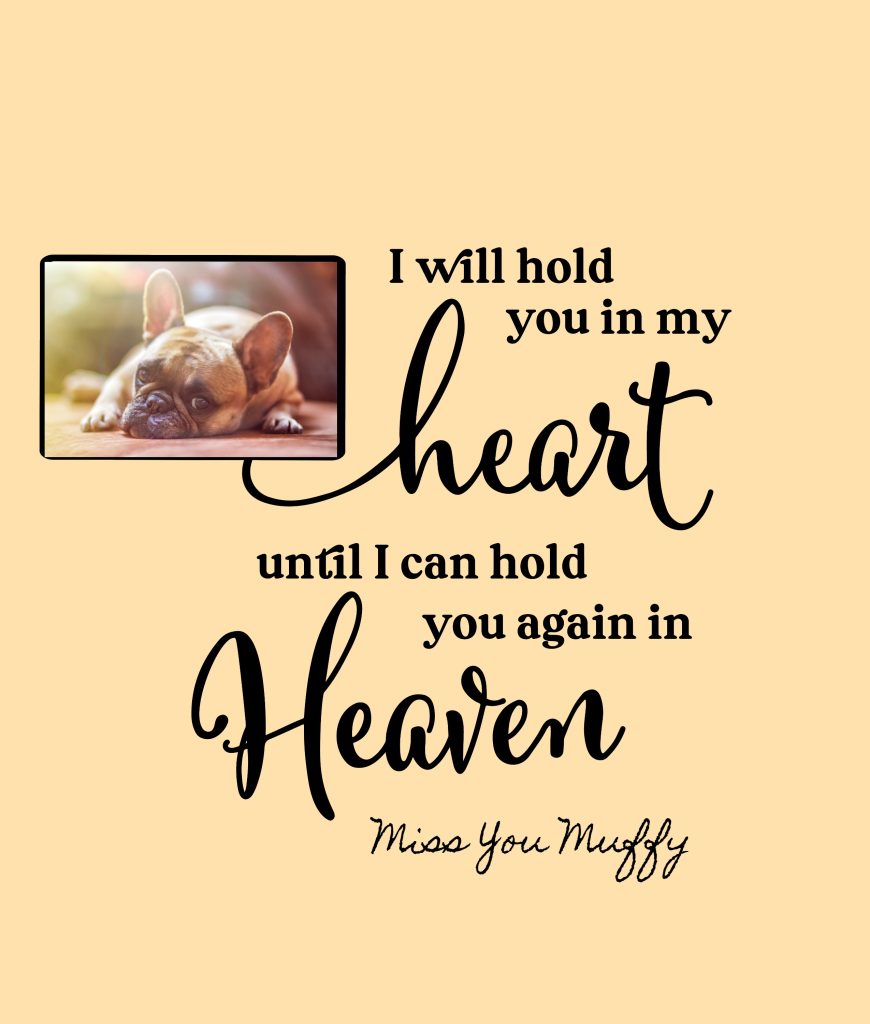 I Will Hold You In My Heart Until I Can Hold You Again In Heaven For Pets