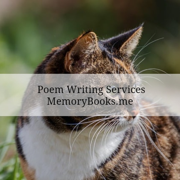 Transform Your Emotions into Art: The Magic of Poem Writing Services